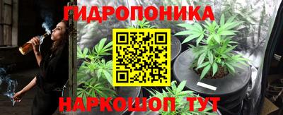 apvp Новодвинск
